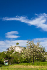 Palava landscape, Natural monument Cat Rock (Kocici skala), Southern Moravia, Czech Republic