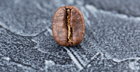 freshly roasted coffee bean, close-up on dark background