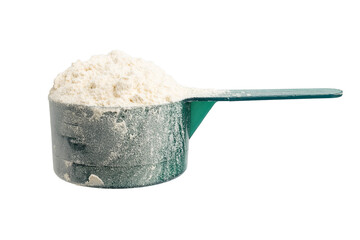 Whey protein powder in a plastic measuring spoon, isolated on transparent background