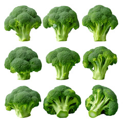 broccoli. set of fresh vegetables isolated