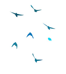 A flock of blue watercolor flying birds. hand drawing. Not AI, Free birds abstraction. Vector illustration