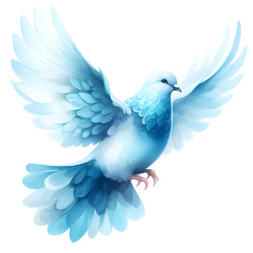 blue pastel pigeon bird watercolor paint for card decor