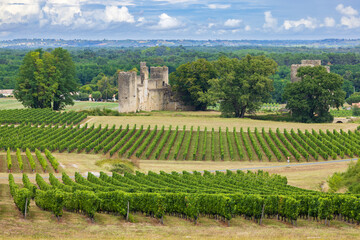Fototapeta na wymiar Budos castle (Chateau de Budos) in Sauternes wine region, Gironde departement, Aquitaine, France
