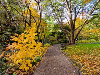 Naklejka premium Botanical garden in autumn. Wroclaw, Poland