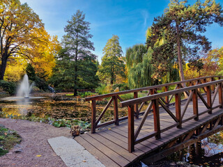 Fototapeta na wymiar Botanical garden in autumn. Wroclaw, Poland