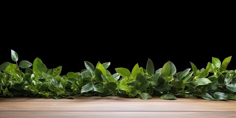 Wooden table top adorned with green leaf frame against a white backdrop.