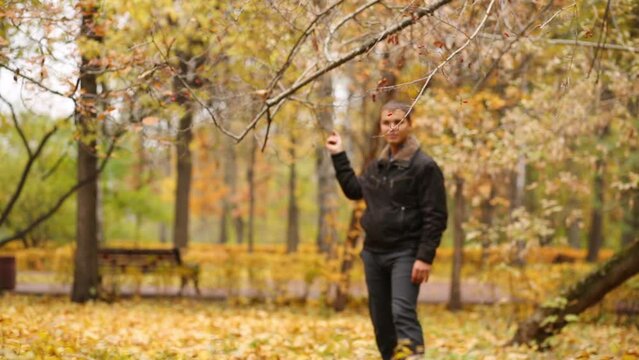 A man walks through the park, looking and touching a tree branch