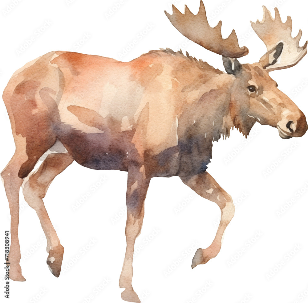 Aufkleber moose watercolor created with generative ai technology