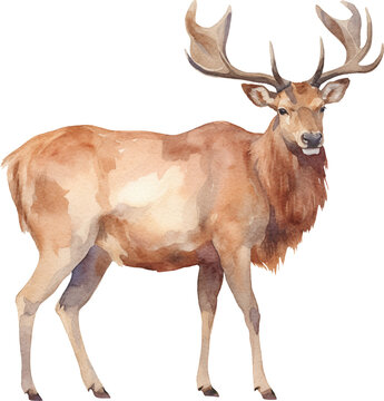 Elk watercolor created with Generative AI technology