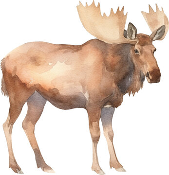 Moose watercolor created with Generative AI technology