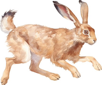 Hare running watercolor created with Generative AI technology