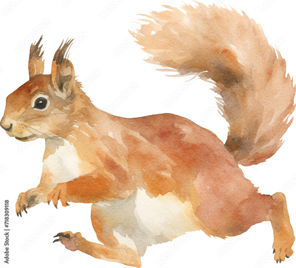 Poster squirrel watercolor created with generative ai technology