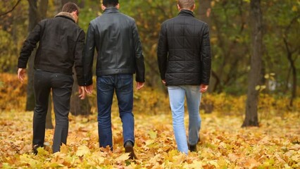 Three young men walking on the park kicking autumn leaves, rear view