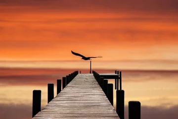 Fototapeten sunset on the pier © haiderose