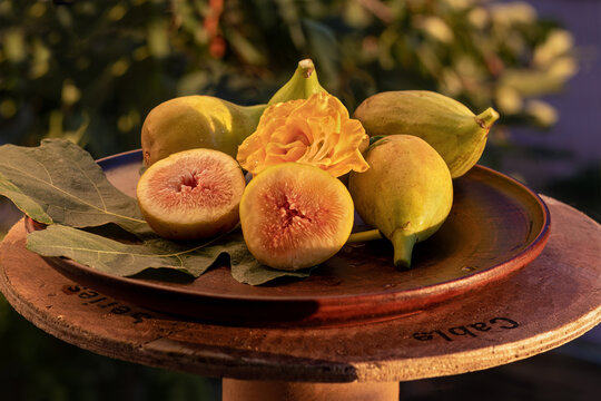 Ripe green fig fruits. Close-up. Whole figs and one fig cut in half