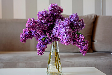bukiet fioletowych bzów, Syringa, lilaki w wazonie, bouquet of  lilacs in a vase	