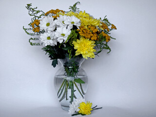 bukiet kwiatów w wazonie, białe i żółte kwiaty w wazonie, chryznatemy w wazonie, Chrysanthemum, white and yellow flowers in a vase, Beautiful bouquet, vase with of yellow and white chrysanthemums   © kateej