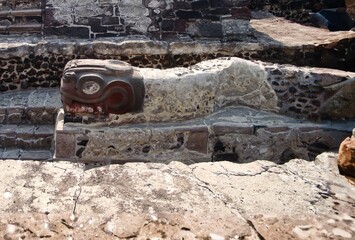 Sculpture depicting a snake, a sacred animal for the Aztec people, in the Templo Mayor, the main temple of Tenochtitlan (Mexico CIty)
