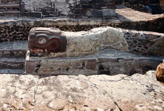 Sculpture depicting a snake, a sacred animal for the Aztec people, in the Templo Mayor, the main temple of Tenochtitlan (Mexico CIty)