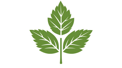 Graphic design of a green leaf with stylized details.