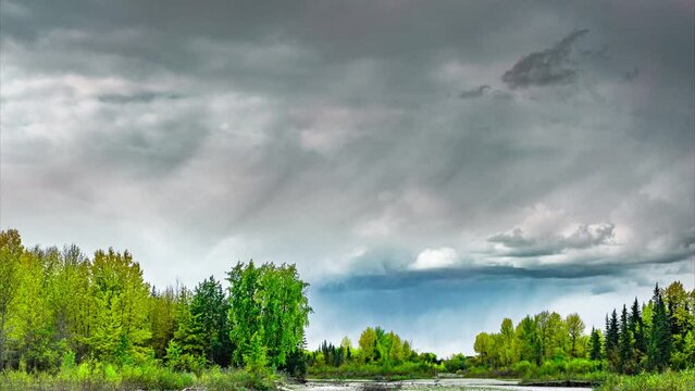 landscape natural footage of dramatic overcast clouds. green forests in the summer season. combination of darkness in the air and fresh lushly green river created a peaceful vibe for nature lover.