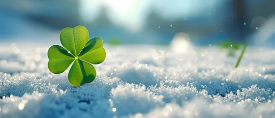 Foto op Canvas Single good luck four-leaf clover in meadow with snow an with copy space for text. Vertical Background banner for best wishes and unique, rare, strong and special individual concept. © cartoon-IT
