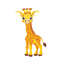 A cute giraffe stands on a white background. Vector illustration with cute African animal in cartoon style.