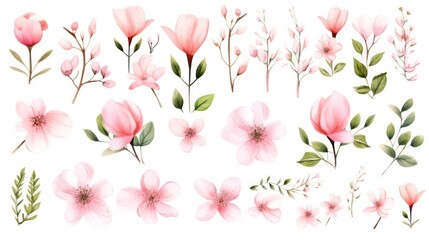  a set of watercolor pink flowers and leaves on a white background stock photo - budget - free stock photo.