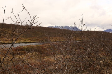 Obraz premium Brúará is a spring-fed river in West Iceland which runs by the boundaries of municipalities Biskupstungur and Grímsnes