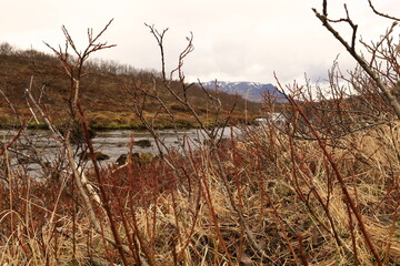 Fototapeta premium Brúará is a spring-fed river in West Iceland which runs by the boundaries of municipalities Biskupstungur and Grímsnes