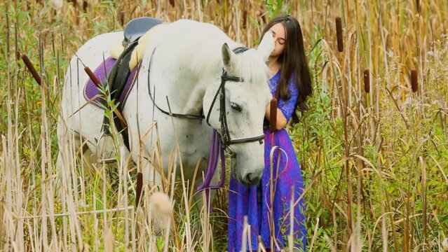 Girl in blue dress pats white horse among sedge at autumn day