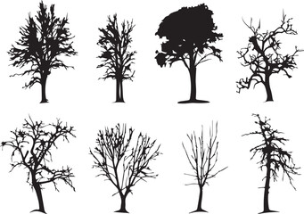 Obraz premium Set Trees. Hand drawn vector illustration