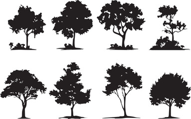 Fototapeta premium Set Trees. Hand drawn vector illustration