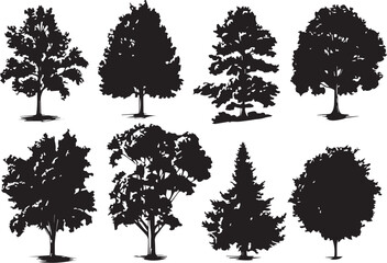 Set Trees. Hand drawn vector illustration