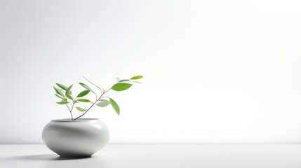  a white vase with a green plant in it on a white table with a white wall in the back ground.