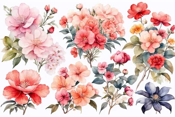 Poster watercolor pastel flowers collection isolated on white background, perfect for cards and greetings © Jan