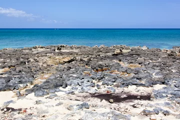Crédence de cuisine en verre imprimé Plage de Seven Mile, Grand Cayman Grand Cayman Island Rocky Seven Mile Beach Shore