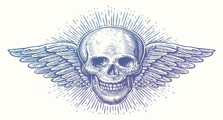 Human skull with wings. Winged skeleton head. Hand drawn sketch vintage vector illustration