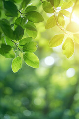 Beautiful nature view of green leaf on blurred greenery background in garden and sunlight. AI generative