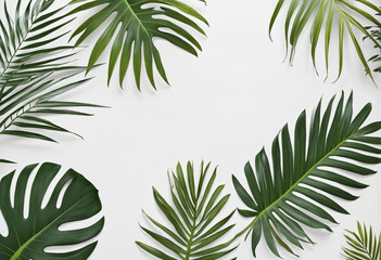 Summer Vibes with Space for Text