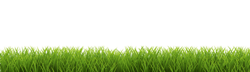 Obraz premium green grass isolated on white