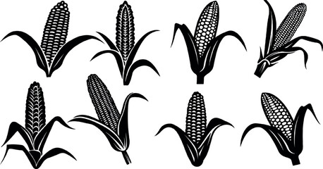 silhouette of corn, corn icon, Concept for organic products label, harvest and farming, grain, bakery, healthy food. great set collection clip art Silhouette on white background. - obrazy, fototapety, plakaty