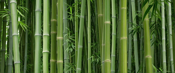 Fototapeta na wymiar Repeating Bamboo Thicket Pattern