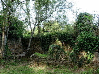 ruine d'une ferme dans la Vallée de Goas Lagorn
