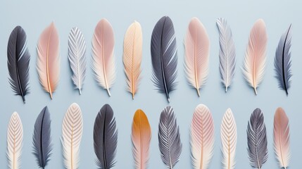  a set of nine different colored feathers on a blue background with a shadow of the feathers on the left side of the image.