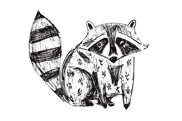 Cute black hand drawn sketch raccoon illustration. Childish drawing wild dog character for kids print design, logo, sticker © Tatahnka