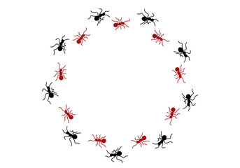 Icono de hormigas haciendo un recorrido circular.