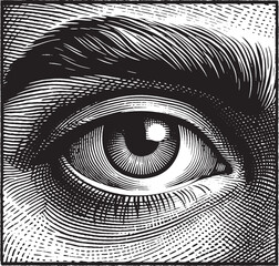 Vintage Vector Eye Illustration - Engraved Style