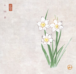 Ink painting of daffodiles on vintage background. Traditional oriental ink painting sumi-e, u-sin, go-hua. Hieroglyphs - eternity, freedom, happiness, harmony - 718367996