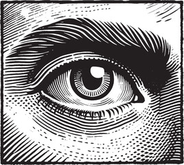 Vintage Vector Eye Illustration - Engraved Style